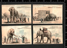 Worcester Ma 1882 Lager Beer Sparrell Saloon 5x   Lot Jumbo Circus Trade Cards