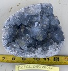 2 Lb 15 Oz  Natural Blue Celestite Geode Quartz Crystal Mineral Specimen Healing