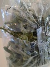 Tim Mee Toys Usa Soldiers 45 Pc Lime Green Classic Plastic Army Men  Open Bag