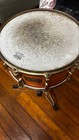 Pearl Classic Maple Snare Drum