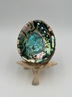 Abalone Shell And Wooden Tripod Stand Sage Smudging Bowl Burner Large 6-7