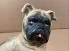 Amazing Antique Hand Painted English Pug Dog Political Satire Porcelain Figurine
