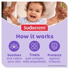 Sudocrem Baby Diaper Rash Cream  Skin Protectant With 4 4 Ounce  pack Of 1 