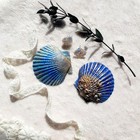 10 Pcs 4-5 Inch Large Sea Shells Scallop Shells For Diy Crafts Beach Decor