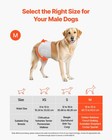 Disposable Male Dog Diapers super Absorbent Male Dog Wraps 360    Leak-proof Bel