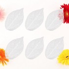6pcs Dried Leaves Specimen For Handmade Crafts Bookmark And Decoration