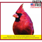  hot  Pennington Select Black Oil Sunflower Seed Wild Bird Dry Feed  40 Lb  Bag