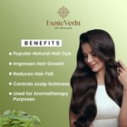 Exotic Veda Organic Henna Powder 100  Natural Hair Dye From India 100g Set Of 2