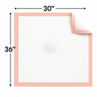 Metro Source 30x36 Disposable Underpads 100 Count   Incontinence Bed   Leakproof