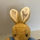 Eden Peter Rabbit  Beatrix Potter Plush Toy Stuffed Animal Bunny Vintage 10 