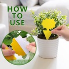 48pcs Fruit Fly Traps Indoor Fungus Gnat Sticky Yellow Plant Insect Trap   
