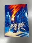 Trans-siberian Orchestra Winter Tour 2006 Souvenir Program Book