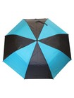Misty Harbor Automatic Open Two Person Rain Umbrella Black Teal