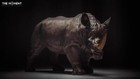 1 6 Rhinoceros Resin Statue Model Office  Room Ornament Gift 20 47   