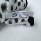 Nwot Dupree Grateful Dead Liquid Blue White Black Beanie Bear