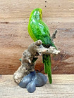 Parrot On Branch Resin Figurine 7  X 4 