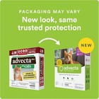 Plus Flea Prevention For Cats  Cat And Kitten Large Cats  over 9 Lbs  4 Dose 