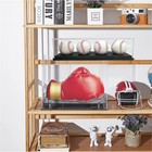 Baseball Display Case For 4 Pack In One baseball Holders For Balls Display ac   