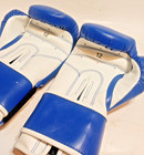 Everlast Blue Pro Style Boxing  Mma Training Gloves 12 Oz 