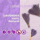 Dried Lavender Bundles  Natural Dried Lavender Flowers 150 Stems 15-17  For Sh  