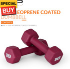 Neoprene Dumbbell Weights  10 Lb Pair  Crimson