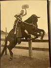 Young African-american Cowboy On Horse Studio Photo       w Great Painted Backdrop    