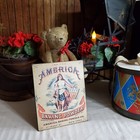 Vintage Antique Colonial Victorian Style America Lady Baking Powder Kitchen Sign