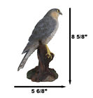 Realistic Hand Painted Eurasian Sparrowhawk Perching On Tree Stump Figurine