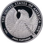 2007-w Platinum American Eagle  100 Pcgs Pr70 Dcam Blue Label - Stock