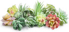 Happyhapi 12 Pcs Artificial Succulents Mini Fake Plants Unpotted Faux Succule   