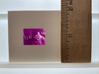 1973 Coffy Pam Grier Film Still Transparency Slide 