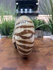Natural Polished Nautilus Spiral Shell 7 5    Pattern Natural Brown White 
