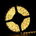 5m 5050 3528 5630 Smd 300 600leds Cool   Warm White Waterproof Led Strip Lights