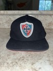 Independent Trucks Mountain Shield Snapback Skateboard Brand Snapback Hat Cap