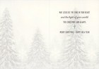 Let Heaven And Nature Sing Tall Evergreens Box Of 14 Religious Christmas Cards