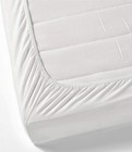 Charlottely Hues 1000 Thread Count Fitted Sheet - 100  Egyptian Cotton Long-s   