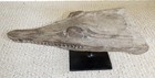 Sepik River Papua New Guinea Carved Canoe Prow  12 Inch On Metal Stand