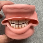 Modupro Dental Hygiene Plus Mp-dh520_o Acadental Typodont  495 Retail