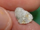 Classic Gold Quartz Specimen  45 Grams Gold With Quartz