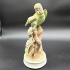 Andrea By Sadek Budgerigar Parakeet Bird Porcelain Figurine By Giudici