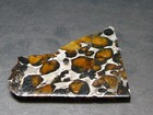 Large Sericho Meteorite Pallasite Olivine Slice From Kenya - 1 7  - 12 54 Grams