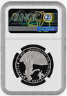 2011 W  100 American Platinum Eagle 1oz Proof Coin Ngc Pf70 Ultra Cameo