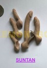  5 X Big 1 6 Scale Male Suntan Skin Genitals Penis For 12  Male Body Phicen   usa   