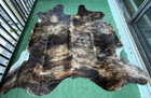 Cowhide Rug Brindle Exotic Black Tones 66 x67   5 5x5 6 Ft    Premium Quality B8