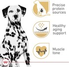 Royal Canin Breed Health Nutrition Dalmatian Adult Dry Dog Food  30 Lb Bag