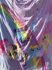 2017 My Little Pony The Movie Twin Size Comforter Adventure Is Coming  I Must Go