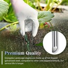 120 - Pack 6 - Inch Galvanized Landscape Staples - For Weed Barrier   More