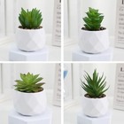 Artificial Potted Plant Succulent W  Pot Small Faux Fake Decor Cacti G4o0