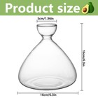 Avocado Starter Vase avocado Vase For Growing avocado Growing Kit Plant Glass   