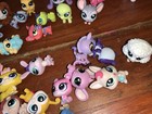 Littlest Pet Shop Lot Lps  2020s Mix